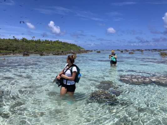stagiaire master 2 tetiaroa umr eio