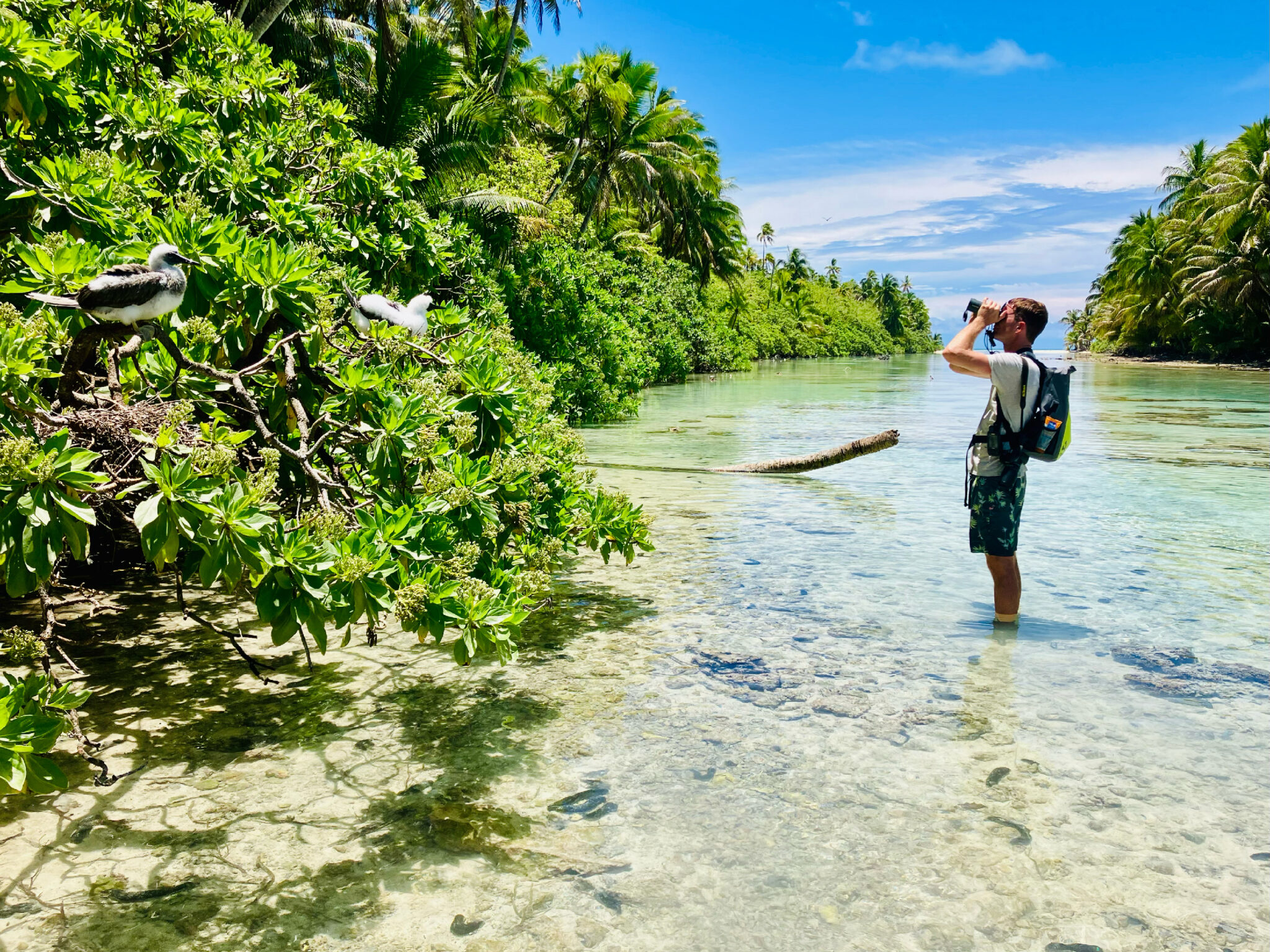 Mission-Tetiaroa---Simon-Ducatez-IMG_7687-small