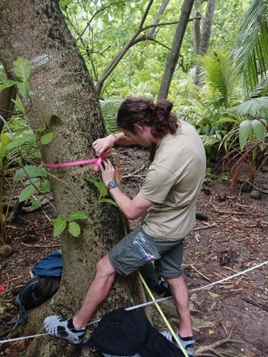 Tahuna iti, un motu en mouvement : plantes et oiseaux marins au rythme de la géomorphologie.