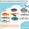 Familles de poissons impliqués dans la Ciguatera
