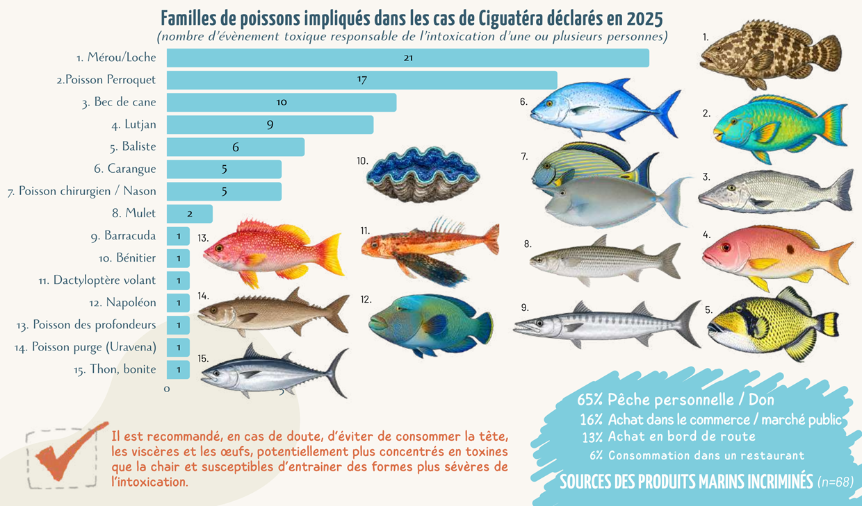 Familles de poissons impliqués dans la Ciguatera